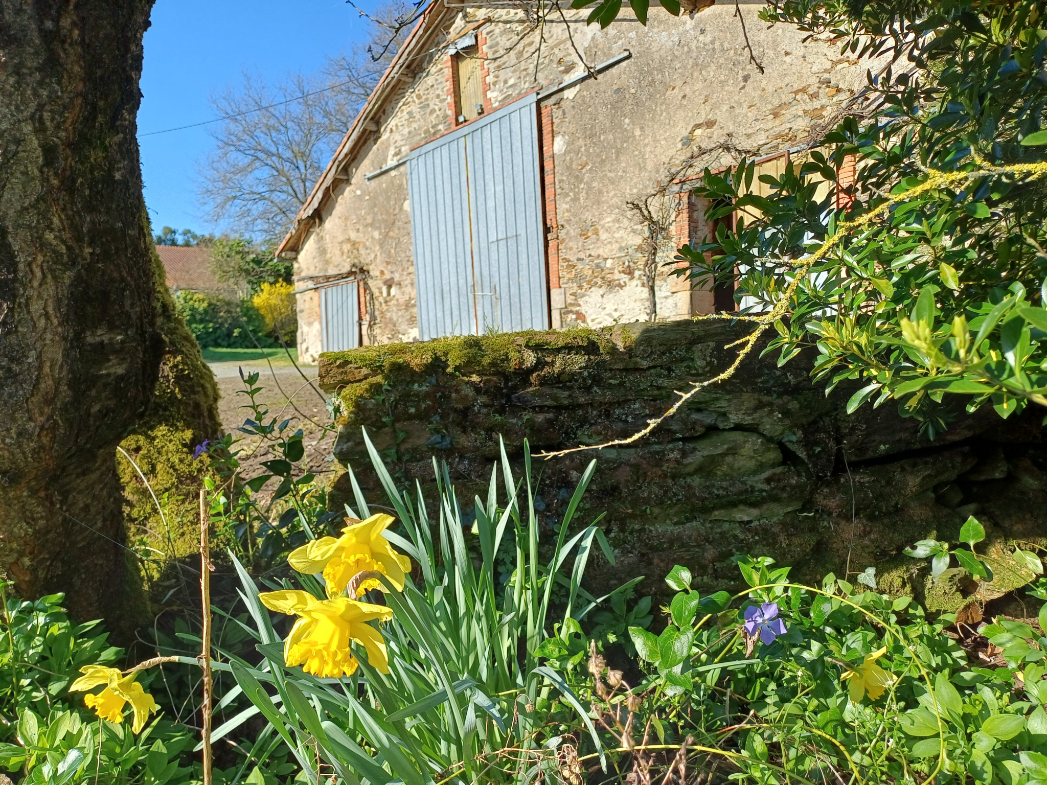 Longère à rénover